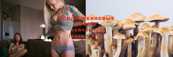 кокс Алексин